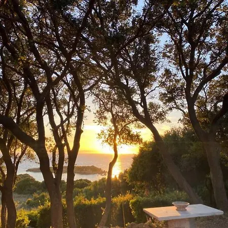 펜션 Secluded Seaside W Garden Sea-sunset View *